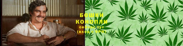 крисы Слюдянка